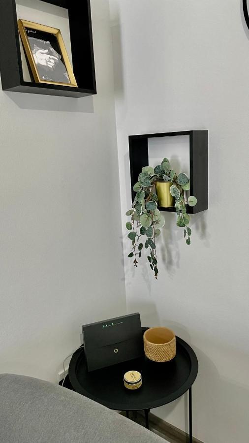 Gorgeous Renovated Apt. Close To Metro And Cultural Sites! Athens Exterior photo